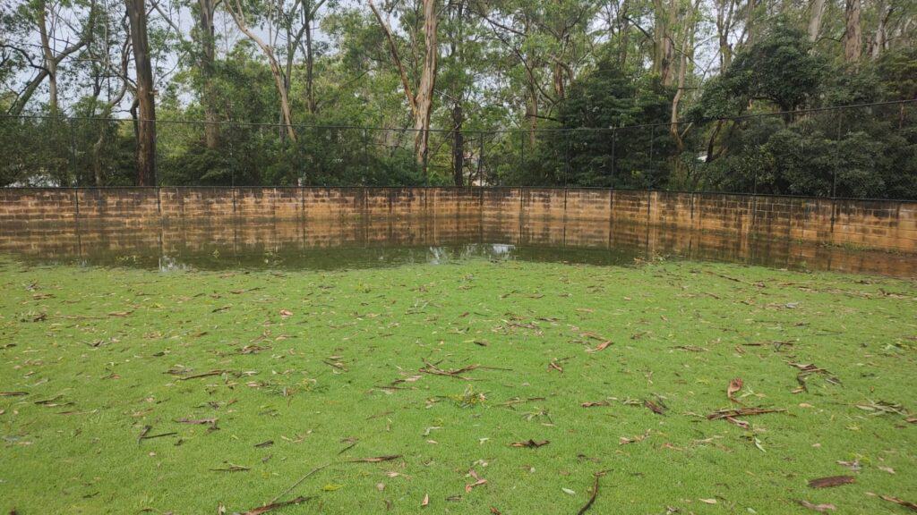 Campbell Park after heavy rain with a waterlogged outfield - 18 January 2025