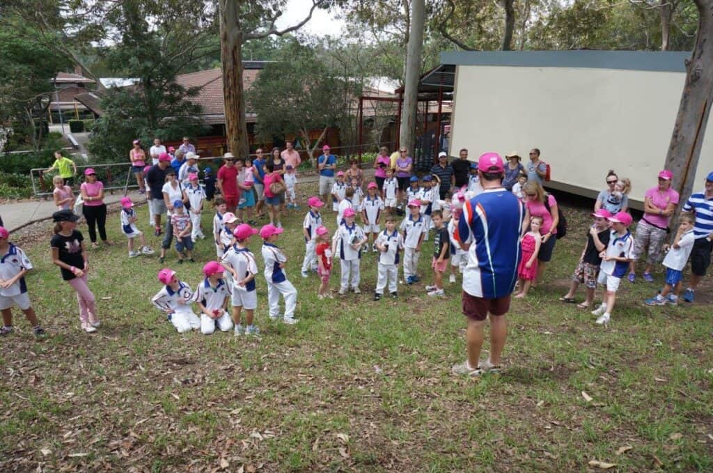 Pink stumps Day Auction
