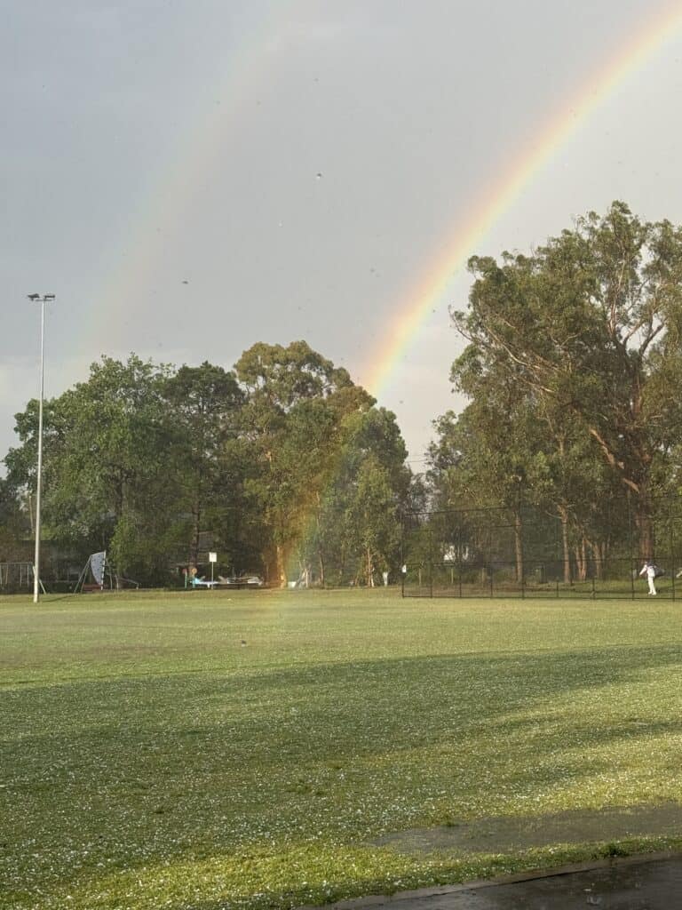 Rainbow - D1 Red - Samuel King Oval - 08112025