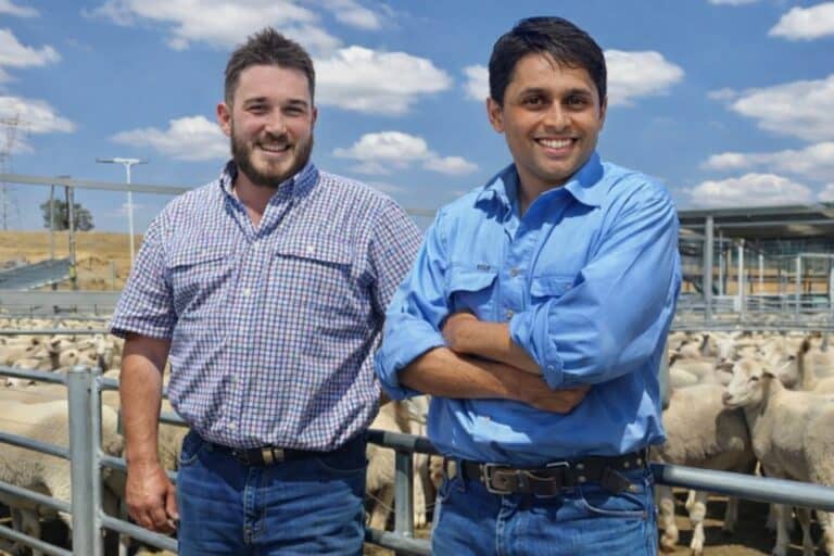 B1 - Grand Final - Sheep Station - WPHC Red (Todd) Vs WHPC Blue (Prats)- Parklands Oval - 14032026