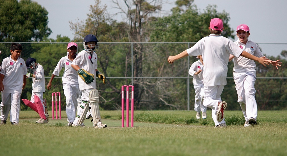 Celebrating a wicket on Pink stumps day Fenruary 2011
