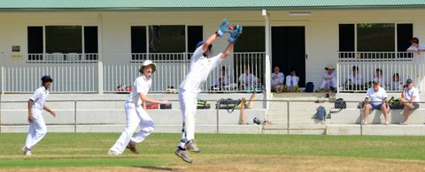 Cricket March 2011