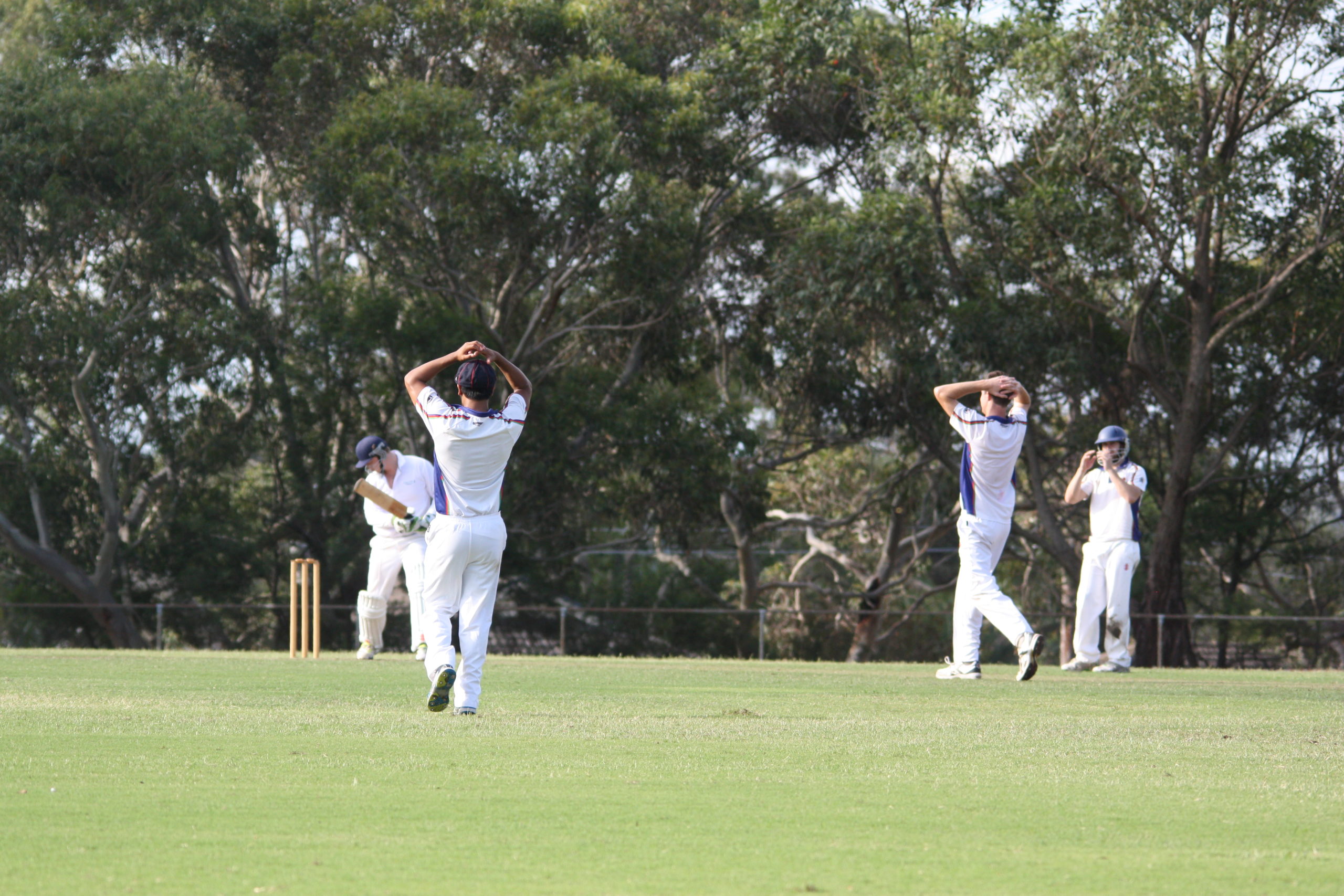 A1 Grand Final (Rofie 3) (81) Vs ARL (67) with an early miss with Scott Henderson bowling - Rofie 3 - Parklands Oval 29th and 30th March 2014.