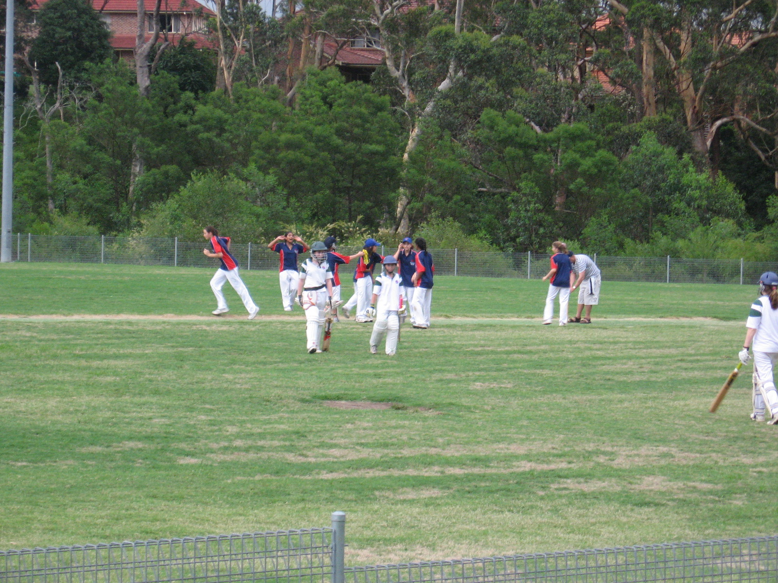 Girls cricket - Fred Caterson Reserve 2008/09 season