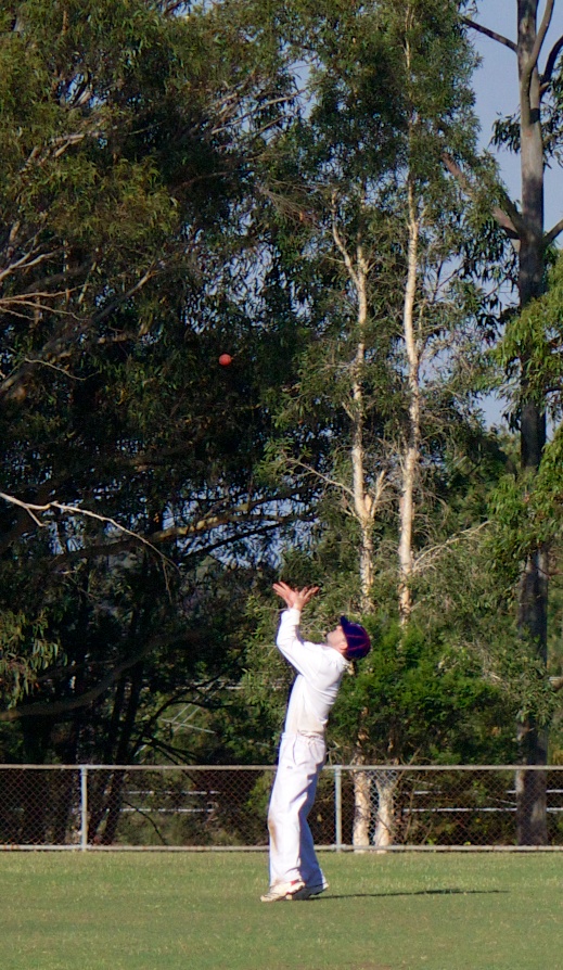 Steve Quanborough taking a crucial catch at A1 game vs Hornsby - Parklands Oval 20th and 27th October 2012.