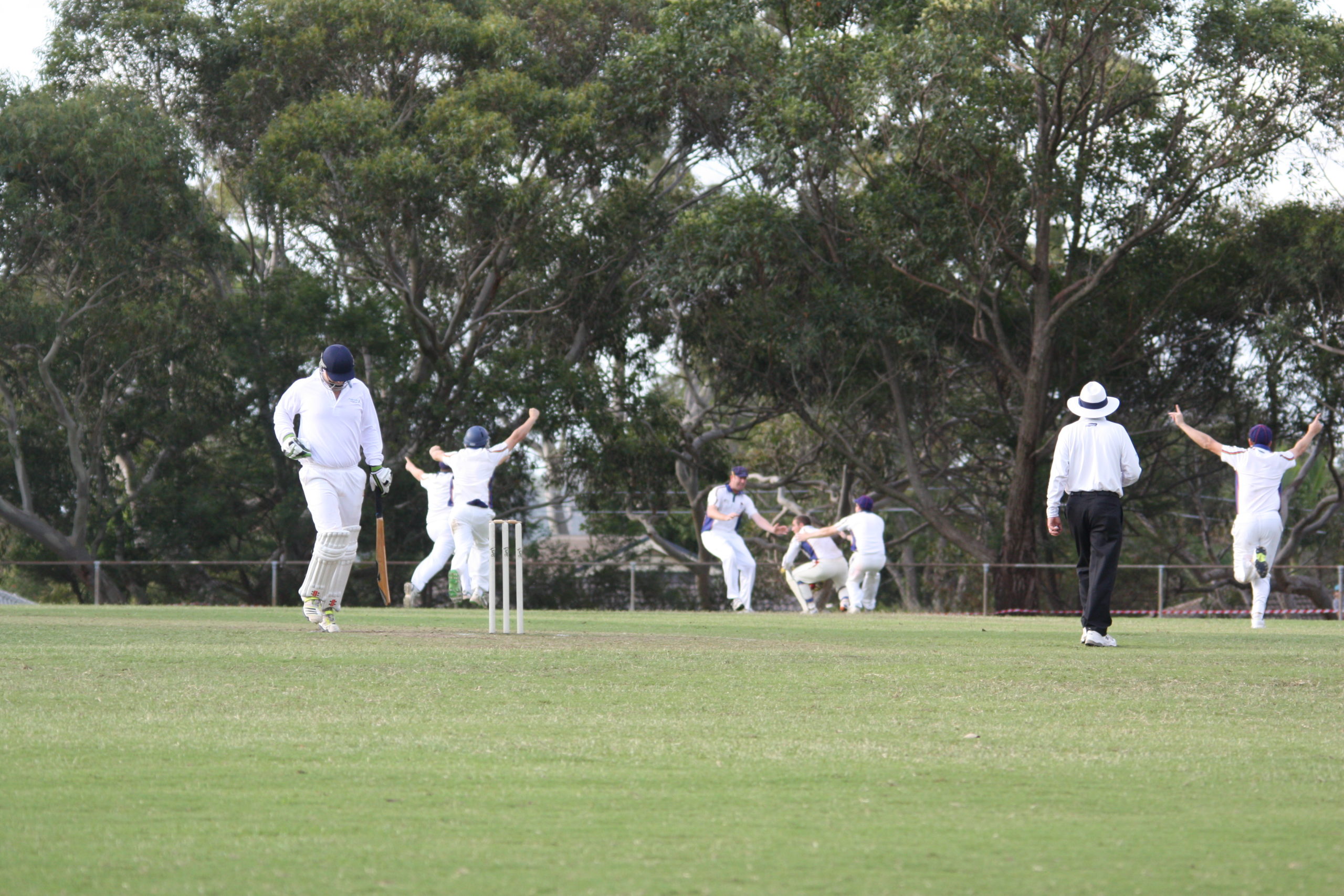 The winning catch A1 Grand Final (Rofie 3) - Stuart Newman (w/k) after catching the last wicket off Scott Henderson's bowling 2 Parklands Oval 29th & 30th March 2014.